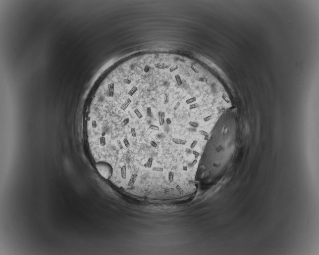 X0000083031083200703022021