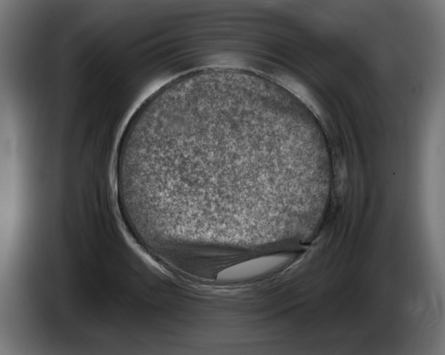 X0000083031084200703022021