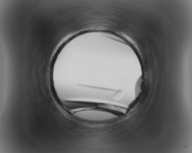 X0000083031085200703022021