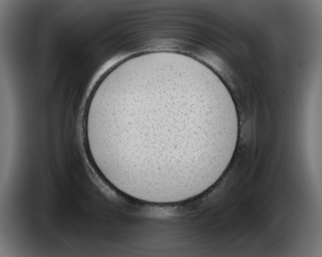 X0000083031086200703022021