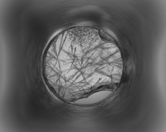 X0000083031087200703022021