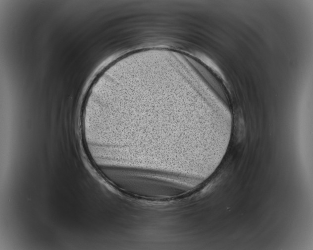 X0000083031088200703022021