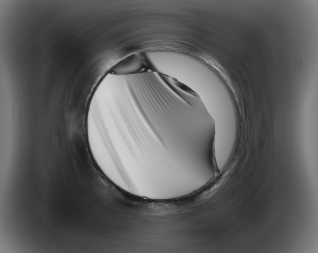 X0000083031089200703022021