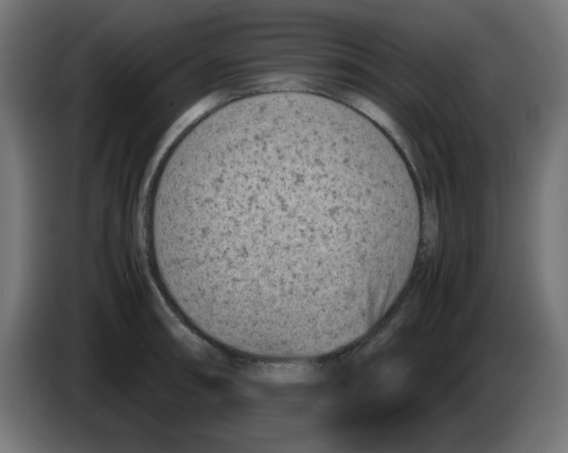 X0000083031090200703022021