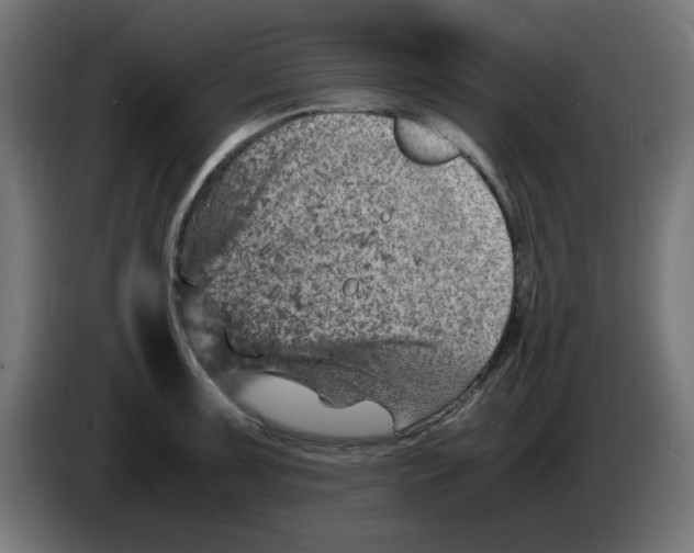 X0000083031091200703022021