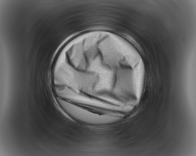 X0000083031092200703022021