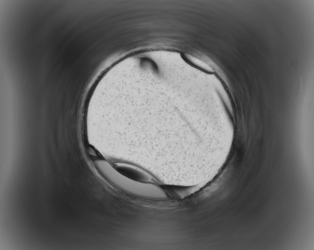 X0000083031093200703022021