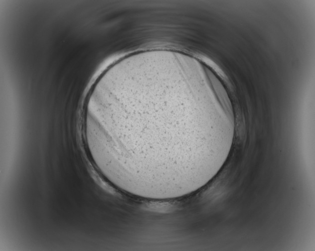 X0000083031094200703022021