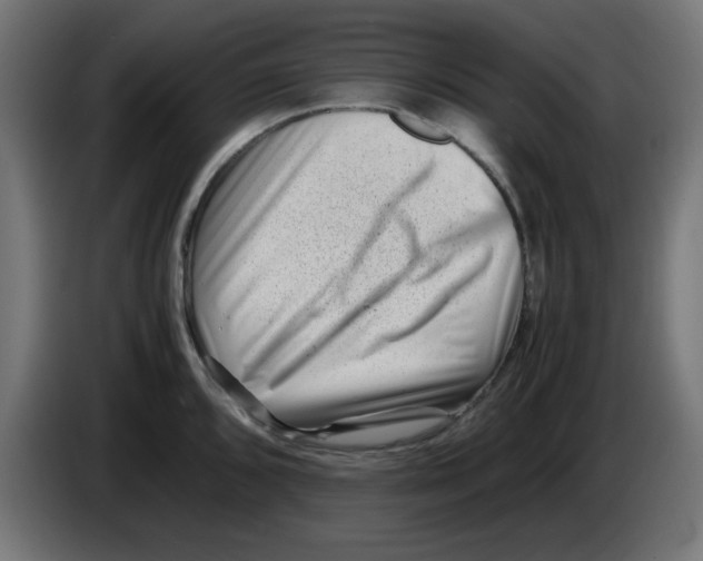 X0000083031096200703022021