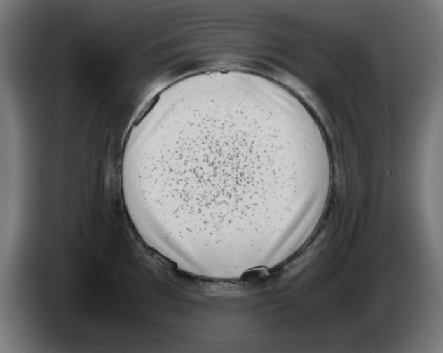 X0000083031097200703022021