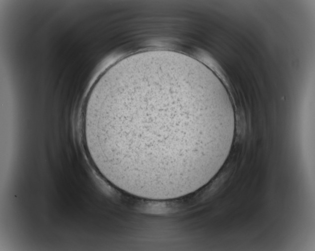 X0000083031098200703022021