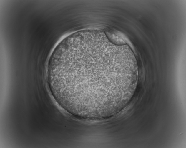 X0000083031099200703022020