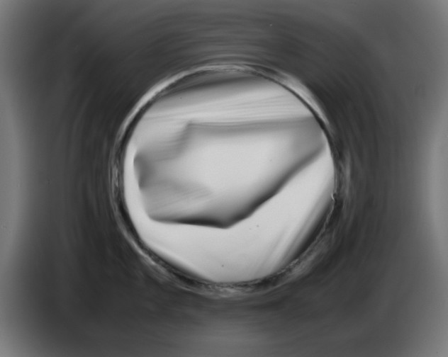 X0000083031101200703022020