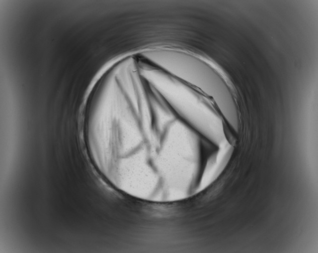 X0000083031102200703022020