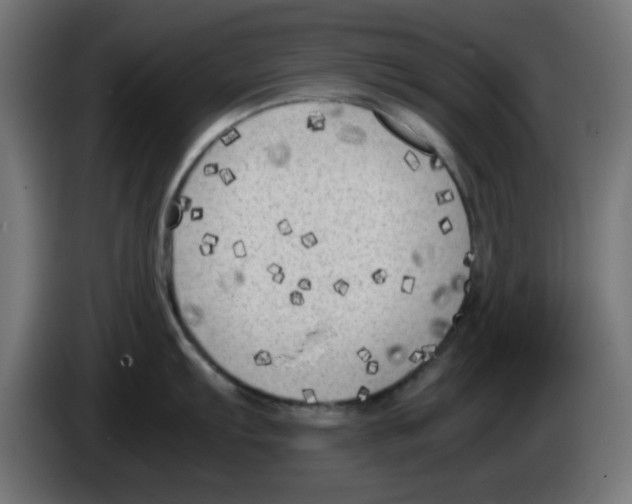 X0000083031103200703022020