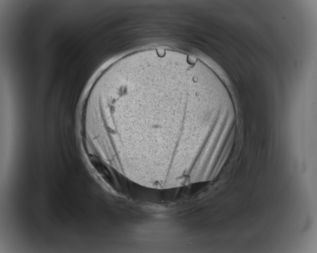 X0000083031104200703022020