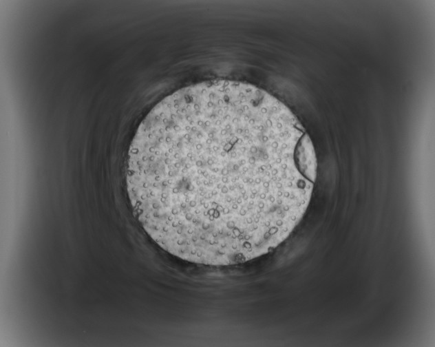 X0000083031105200703022020