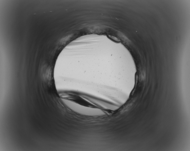 X0000083031108200703022020