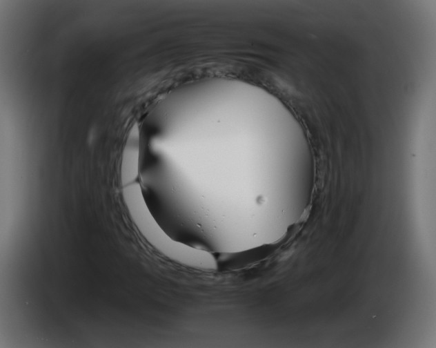 X0000083031109200703022020