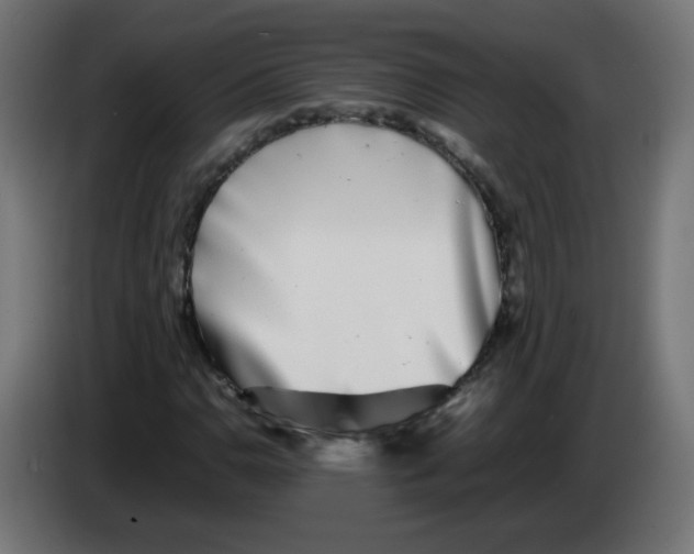 X0000083031110200703022020