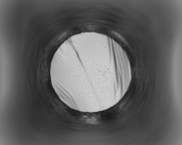 X0000083031111200703022020