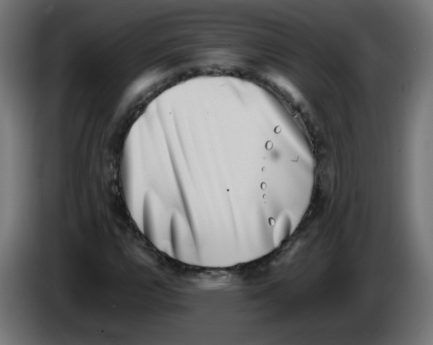 X0000083031112200703022020