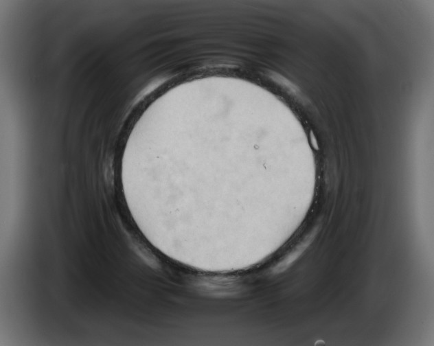 X0000083031113200703022020