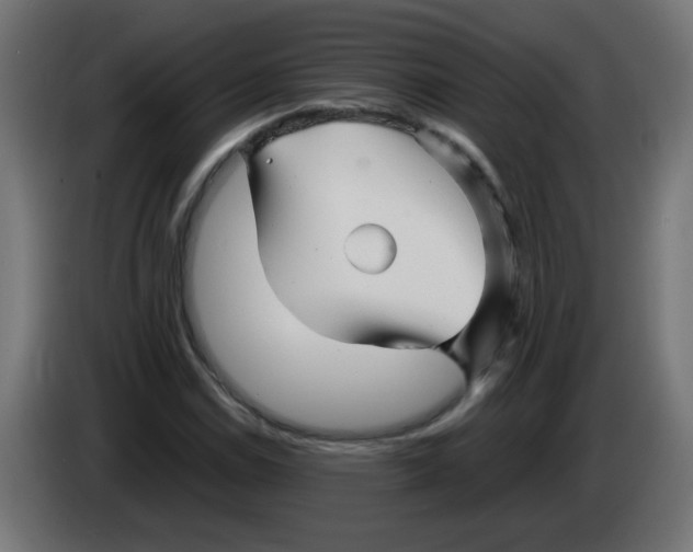 X0000083031114200703022020