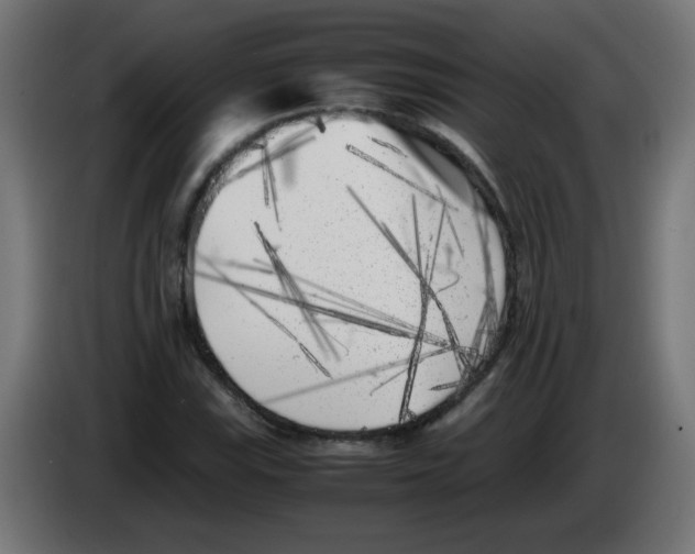 X0000083031115200703022020