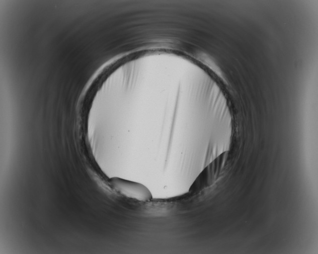 X0000083031116200703022020