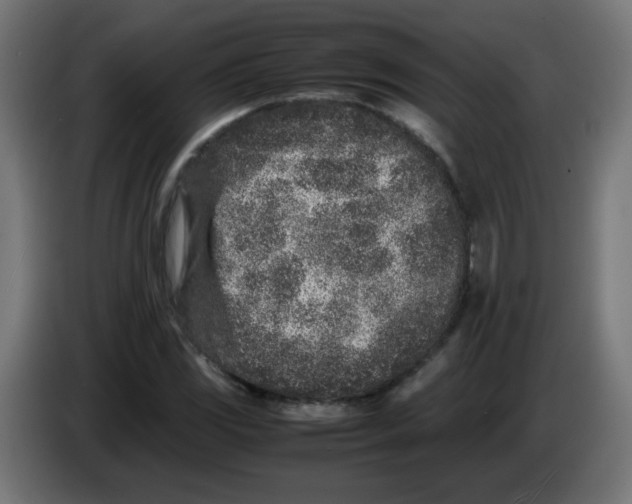 X0000083031117200703022020