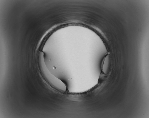 X0000083031118200703022020