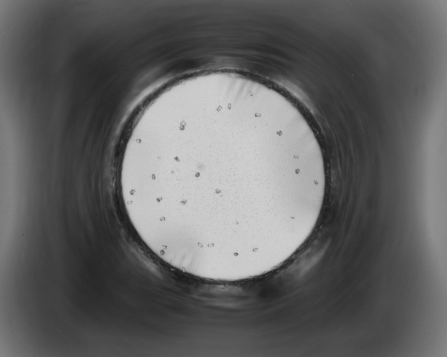 X0000083031119200703022020