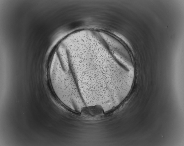 X0000083031120200703022020