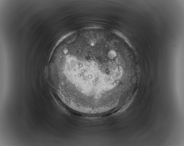 X0000083031121200703022020