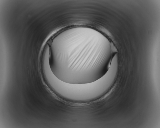 X0000083031122200703022020