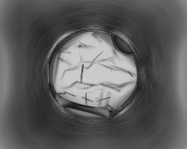 X0000083031123200703022020