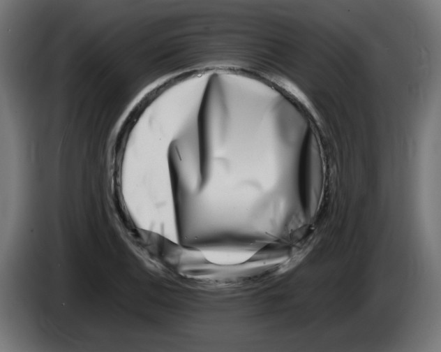 X0000083031124200703022020