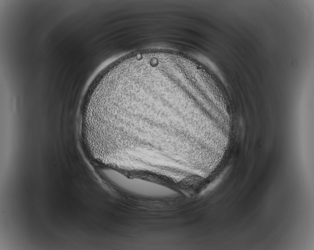 X0000083031125200703022020