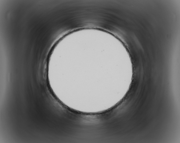 X0000083031126200703022020