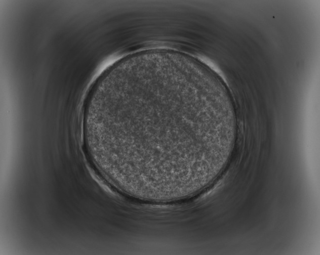 X0000083031127200703022020