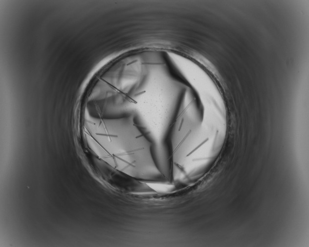 X0000083031128200703022020