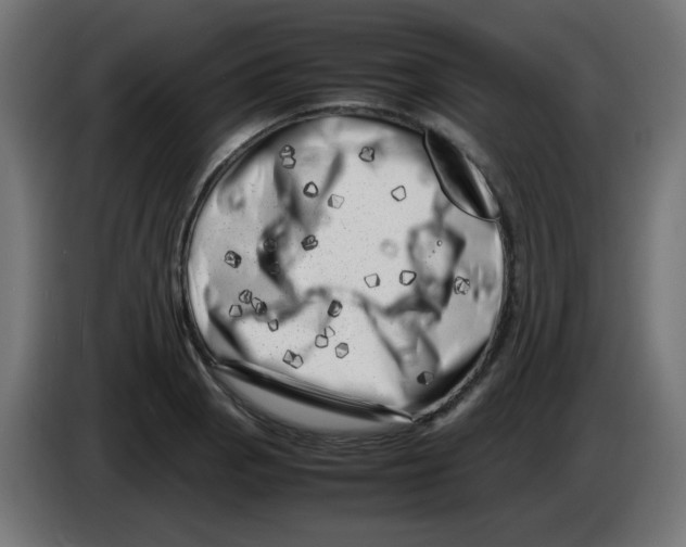 X0000083031129200703022020