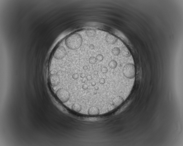 X0000083031130200703022020