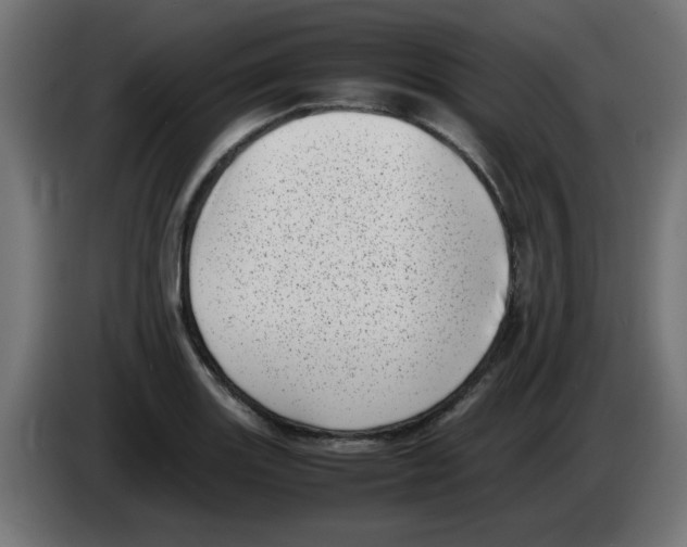 X0000083031131200703022020