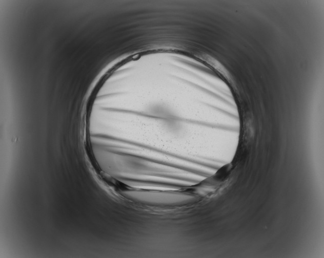 X0000083031132200703022020