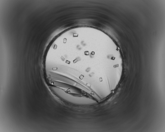 X0000083031133200703022020