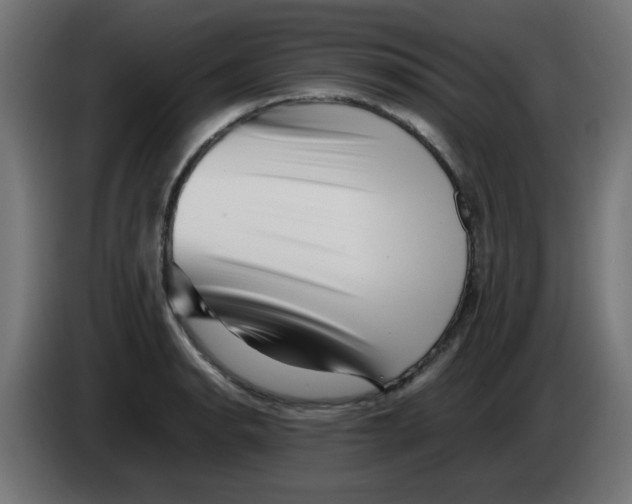 X0000083031134200703022020