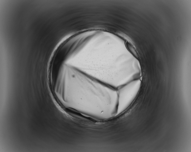 X0000083031135200703022020