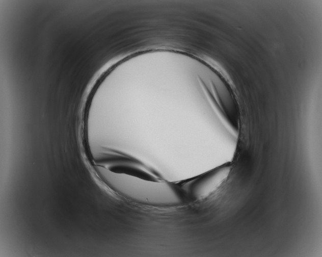 X0000083031136200703022020